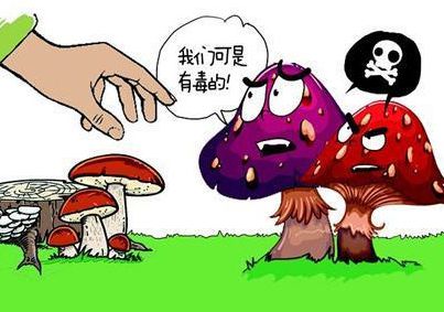 基本公共衛(wèi)生服務(wù)項(xiàng)目之健康教育宣傳專金年會欄（2024年第四期B版）(圖14)